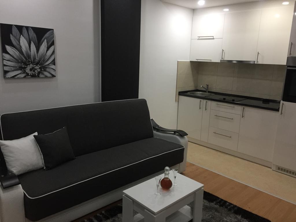 Ferienwohnung Apartman Jezdic Banja Koviljača Exterior foto